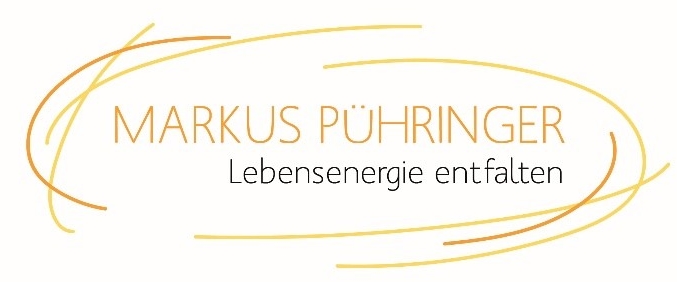 Logo Markus Pühringer