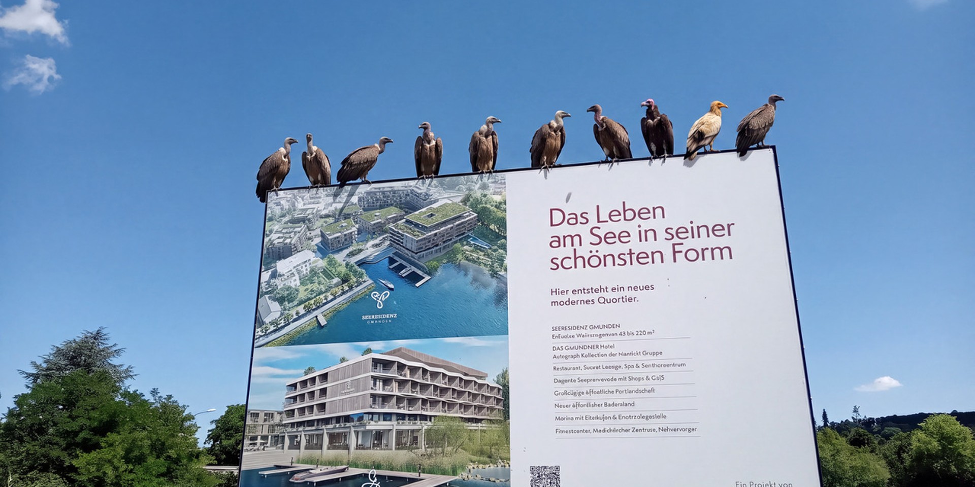 Geier auf Plakat für Seeresidenz Gmunden am Traunsee, Oberösterreich